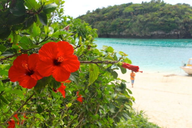沖縄の暮らしと文化