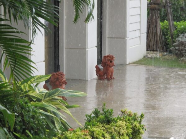 家の「外」にシーサーが置いてあるのは何故？