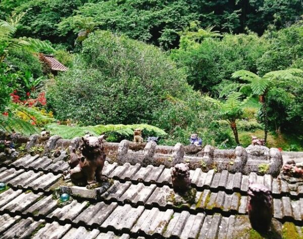 沖縄の「伝統的」と言えるシーサー配置の思想はある?