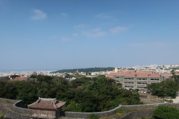 地域や時代差で「正解を一つにできない理由」がある?