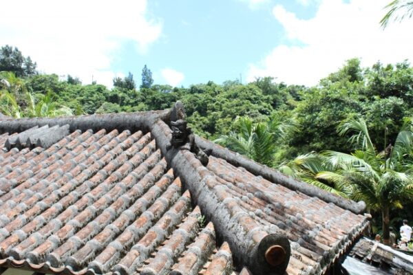 沖縄の暮らしから見えるシーサーとの付き合い方は？