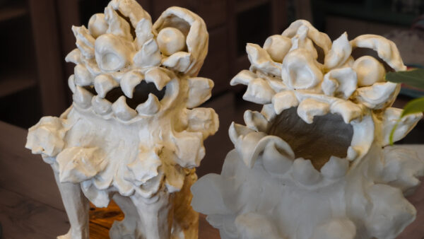 メス(左)のシーサーの口が少し開いている白いアートな雰囲気がある一対のシーサー