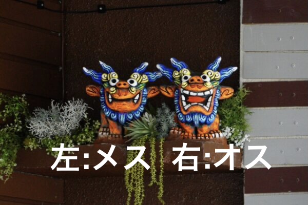 シーサーを置く際の左右の配置についての定番の置き方は?